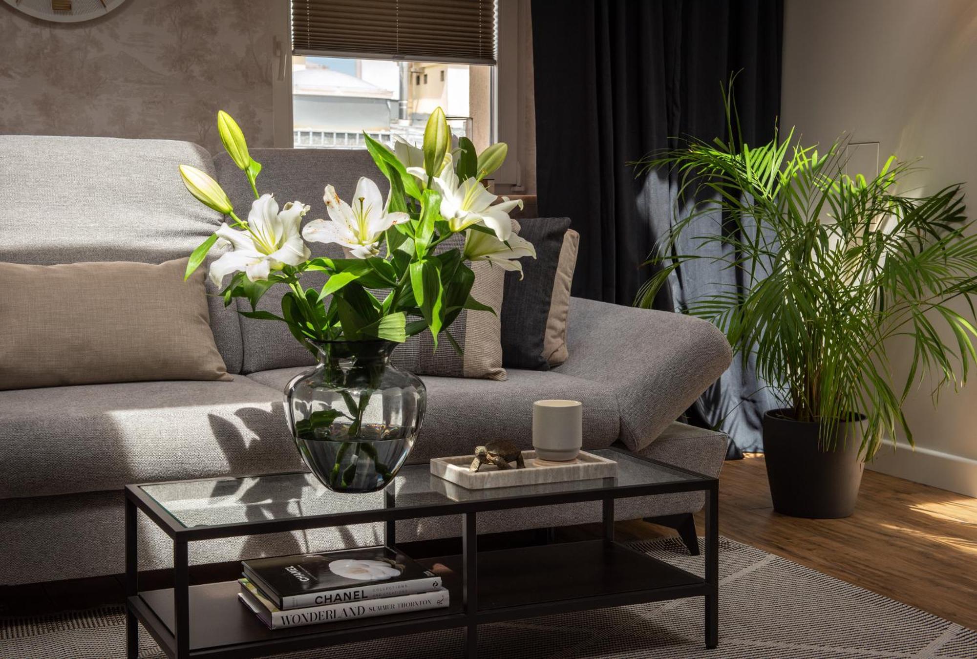 Szpitalna 9 Residence Krakow Luaran gambar